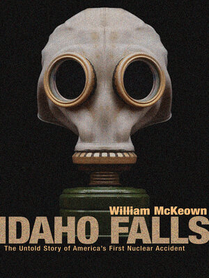 cover image of Idaho Falls
